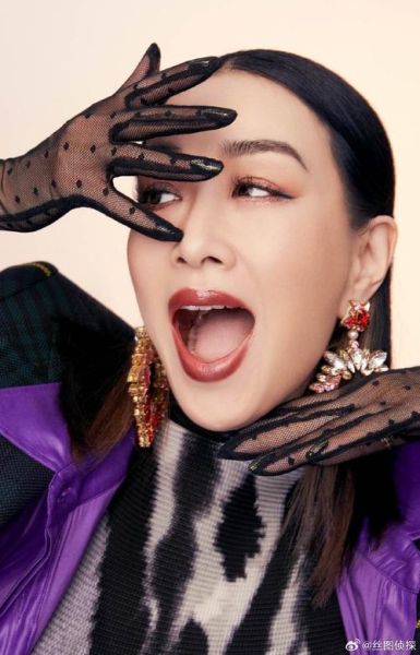 钟丽缇属什么生肖属相（钟丽缇属什么生肖）