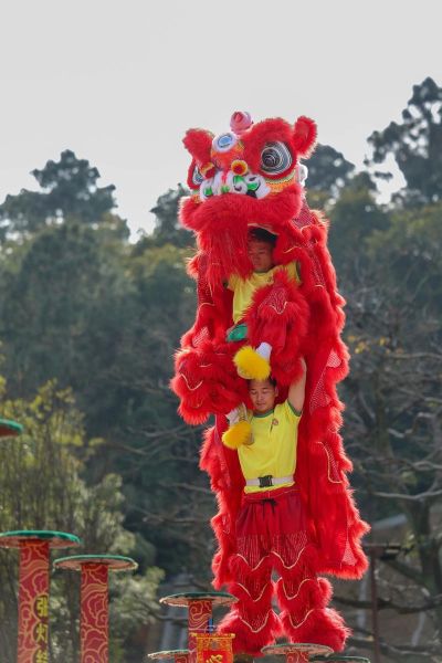 黄飞鸿名字解释生肖属相(黄飞鸿属什么生肖)