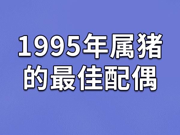 95年什么生肖属相(1995年属什么生肖最准确查询)
