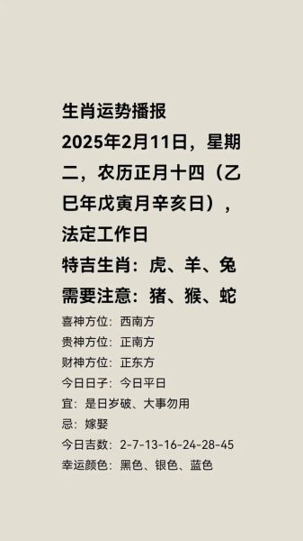 黄历生肖属相（今日生肖冲煞查询方法🌟）