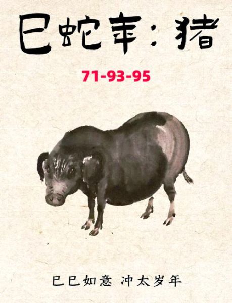 九五属什么生肖属相（1995年属什么生肖？）
