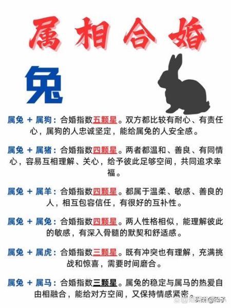 男友兔子生肖属相配对（兔男和什么属相最配）