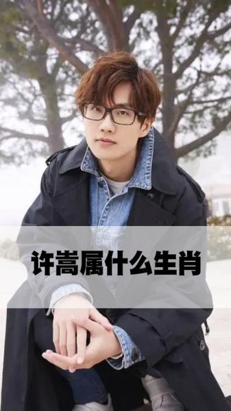 许嵩生肖属相