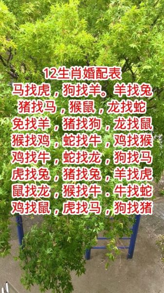 属相婚配十二生肖歌（男女属相最佳婚配歌诀大公开）