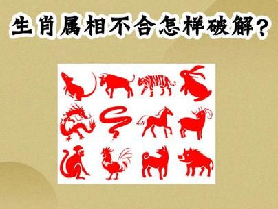 生肖属相不合怎样化解呢（生肖属相不合怎么破解？👀）