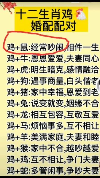 生肖属相不合怎样化解呢（生肖属相不合怎么破解？👀）