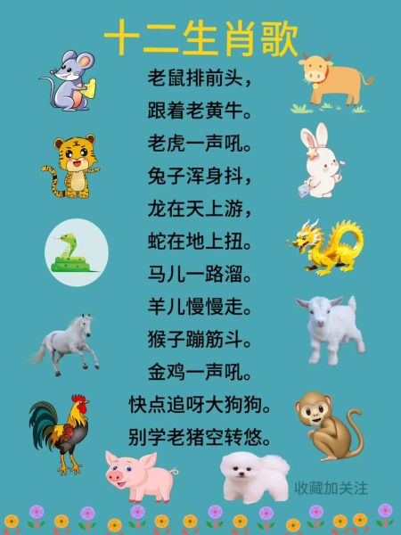 十二生肖歌属相（十二生肖歌儿歌完整版歌词及背诵技巧）