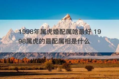 1998属相是什么生肖（1998年属什么生肖？小白一看就懂🐯）
