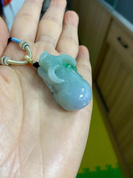 属相吊坠 生肖翡翠（生肖翡翠吊坠怎么挑颜色最旺运）