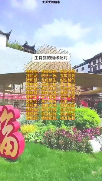 属猪属相相合生肖（属猪和什么生肖最配婚💖）