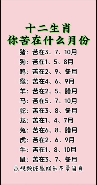 兔生肖属相合不合（兔生肖属相合不合？新手必读速查表）