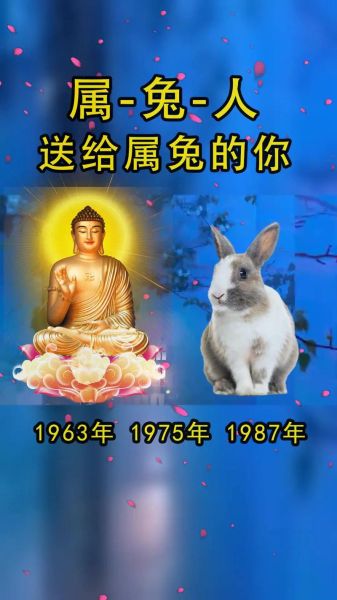 属相兔子的守护生肖(属兔的守护生肖到底是谁)