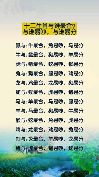 生肖狗和属相兔（生肖狗跟兔子合不合婚）