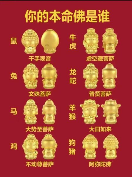 生肖属相对应守护（生肖守护神对照表🔮谁是你的本命守护）