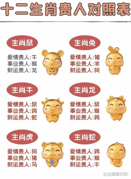 陈真生肖属相（陈真生肖属相是什么？新手指南一看就懂）