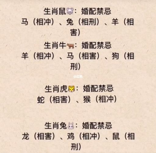 能成仙的生肖属相（能成仙的生肖属相是哪几个？揭秘啦🧚‍♂️）