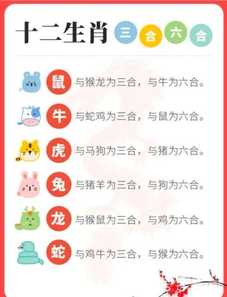 西户最佳生肖属相（西户最佳生肖属相是谁）