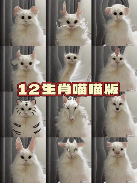 2011属相属什么生肖（2011属什么生肖的详细说明😸）