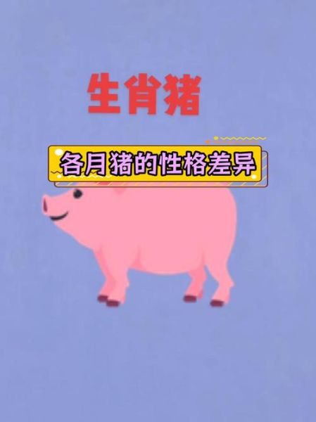 属相猪生娃生肖（属猪生什么属相宝宝最好）