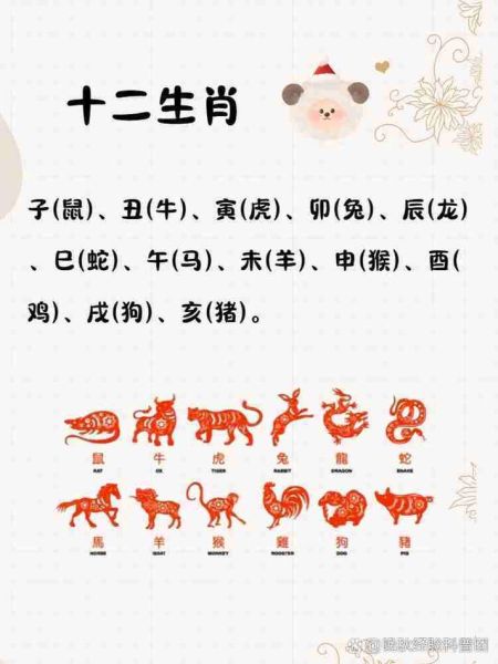生肖羊男孩的属相(生肖羊男孩的属相到底是哪一年?)