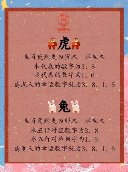 生肖属相数字有哪些（生肖属相数字有哪些🧮）