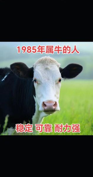 85年属相生肖（85年属什么生肖？）