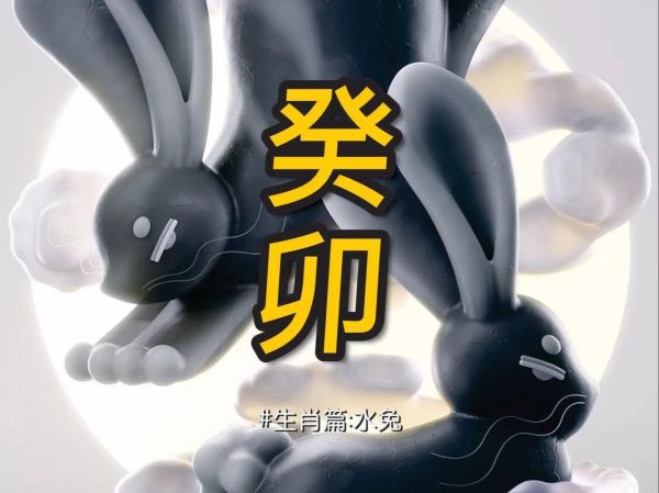 癸卯年算生肖还是属相（癸卯年到底属兔还是属虎？）