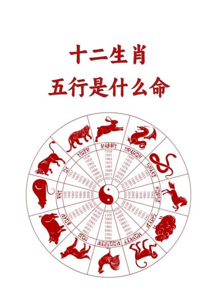 午属相是什么生肖（午属相是什么生肖？小白1分钟看懂）