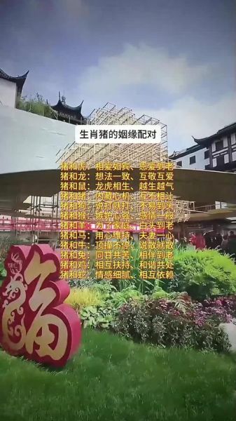 生肖猪的配对属相（生肖猪最佳婚配：和哪些属相最合拍？）