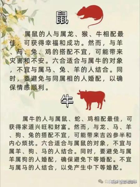 伦字解释生肖属相（“伦字与生肖属相有什么关系”）