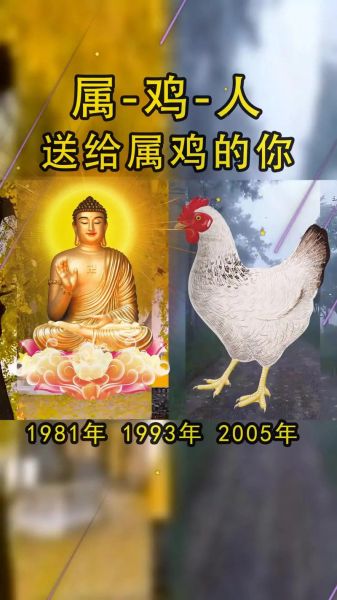 生肖鸡属相由来是什么（生肖鸡属相的由来是什么）