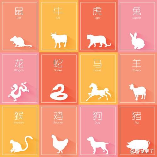 跌打最佳生肖属相（跌打最佳生肖属相是什么？）