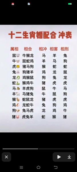 12生肖大属相和小属相（12生肖大小属相怎么分）