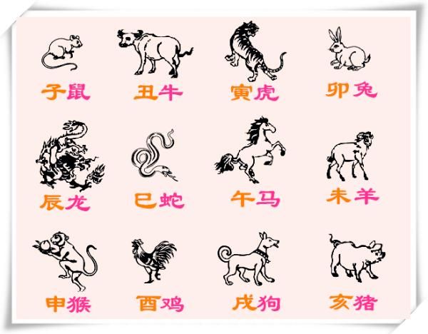 阴历生肖属相怎么算（阴历生肖属相按立春算还是春节算）