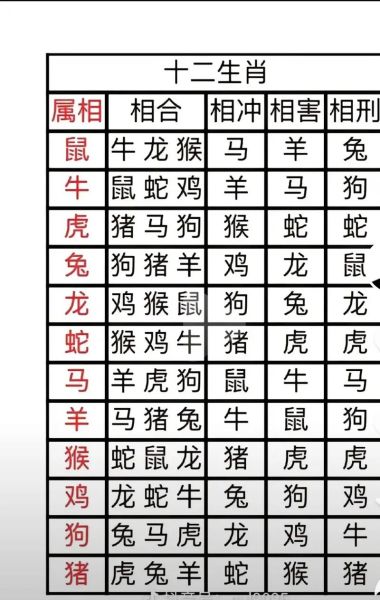 龙虎生肖大属相（龙虎生肖配对表完整版）