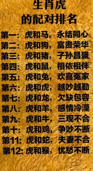 龙虎生肖大属相（龙虎生肖配对表完整版）