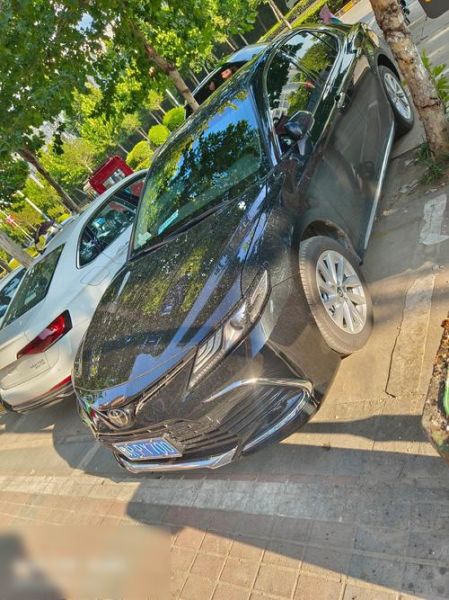 虚岁49属相是什么生肖（虚岁49属什么生肖？新手一看就懂）