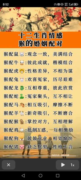 生肖猴最佳配对属相