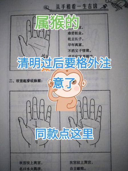 生肖猴冲属相（属猴冲什么生肖最准确化解？）