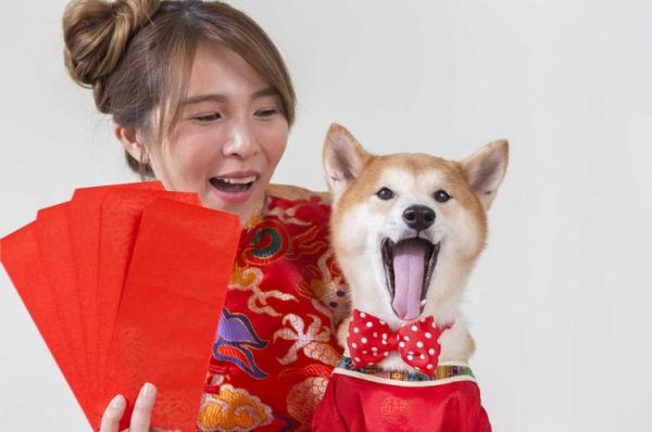 生肖属相结婚装饰牛（属牛结婚婚房布置禁忌与喜用装饰）