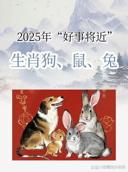 鼠狗生肖属相（鼠狗生肖属相配不配？小白速看）