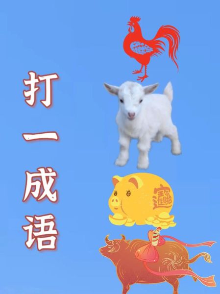 鸡头牛尾生肖属相相冲(鸡头牛尾生肖相冲吗?新手一看就懂)