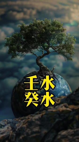 壬水生什么生肖属相（壬水到底生什么生肖）