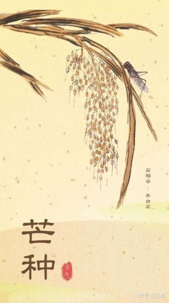 属相有芒种代表什么生肖（芒种代表什么生肖🤔生肖牛的节气密码）