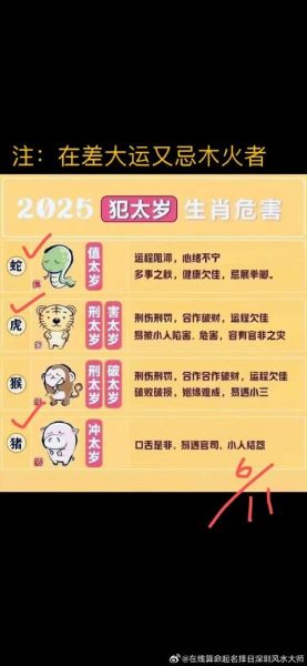 陈记属什么生肖属相（陈记属什么生肖属相查询）