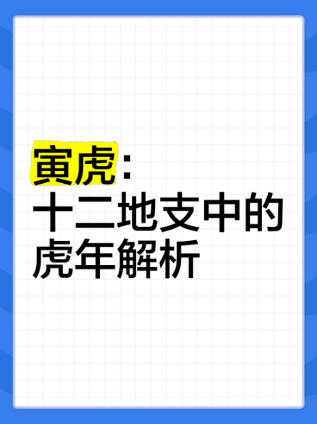 生肖虎时辰属相（属虎不同时辰出生运势详解）