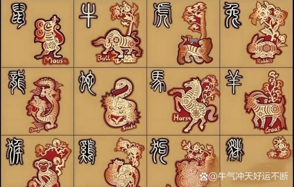 毛宁属什么生肖属相