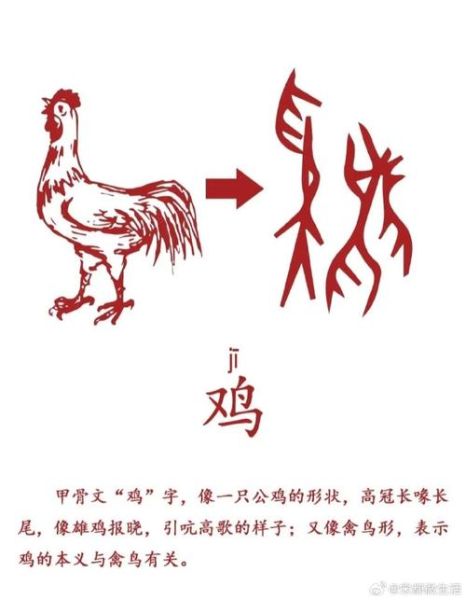 甲代表生肖什么属相呢