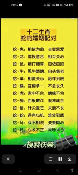 猴子与蛇生肖属相吗（猴子与蛇生肖合不合？新手必看）