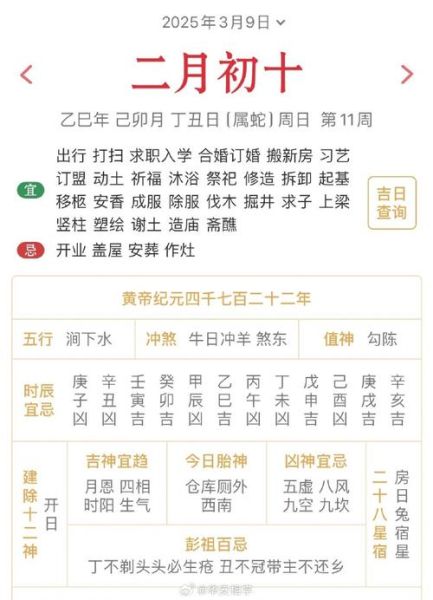 辛未是不是青龙生肖属相（辛未年到底属不属于青龙？小白也能秒懂）
